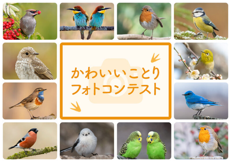 前の記事