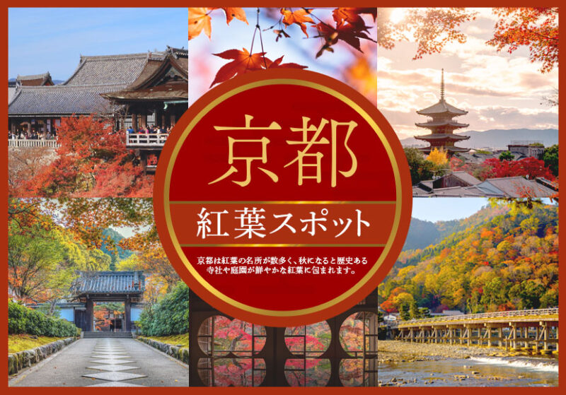 次の記事